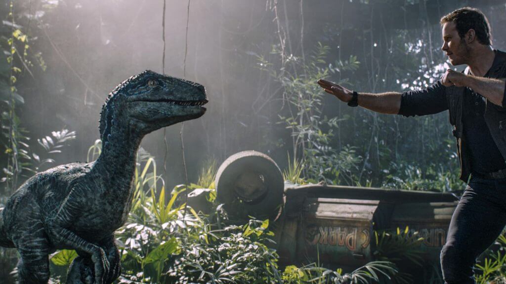 Blue, Raptor, Chris Pratt, Jurassic World: Fallen Kingdom