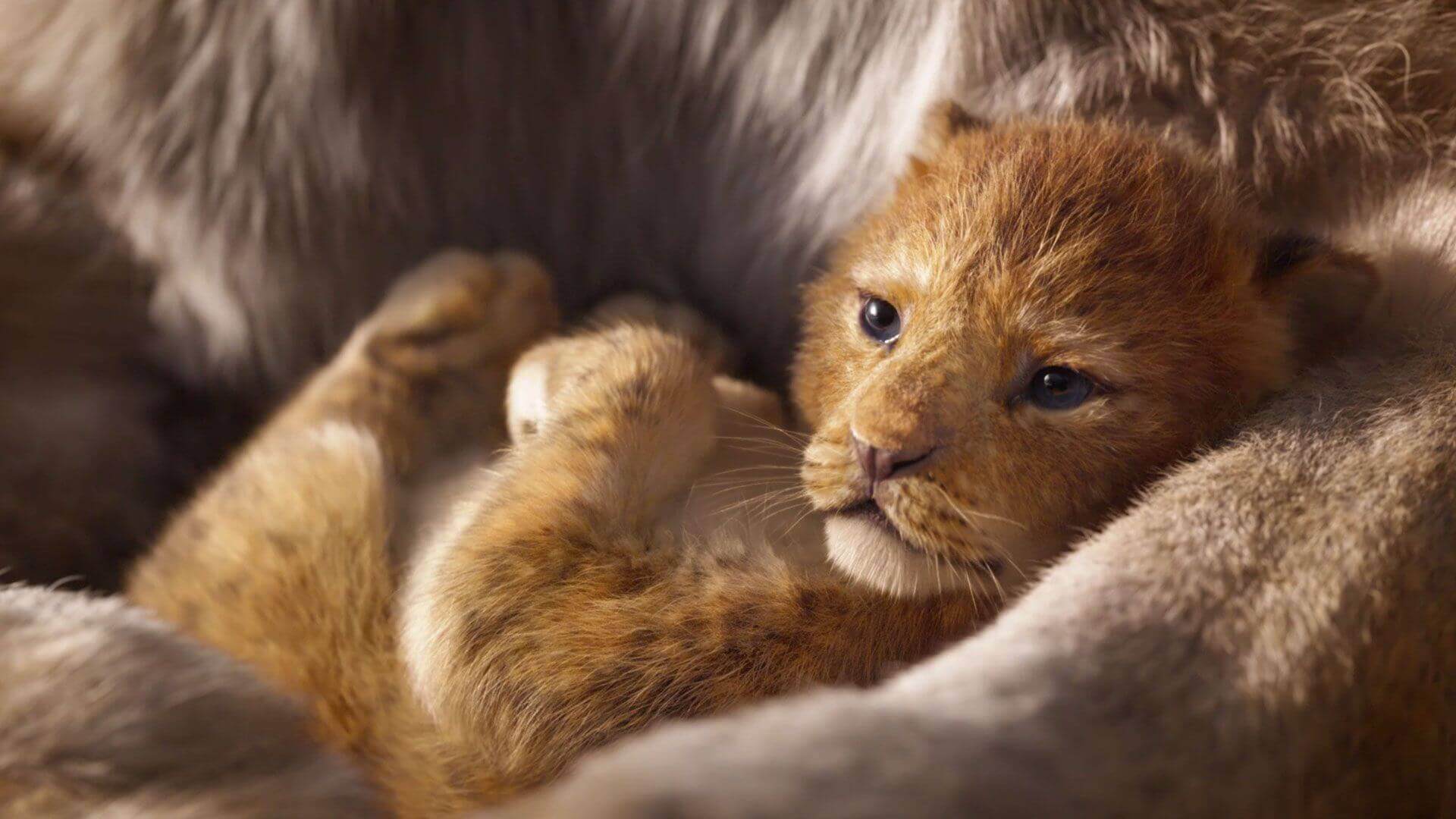 Disney Releases First Lion King Trailer