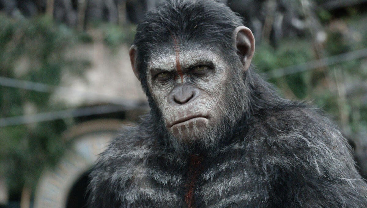 New Planet of the Apes Film Coming from Wes Ball