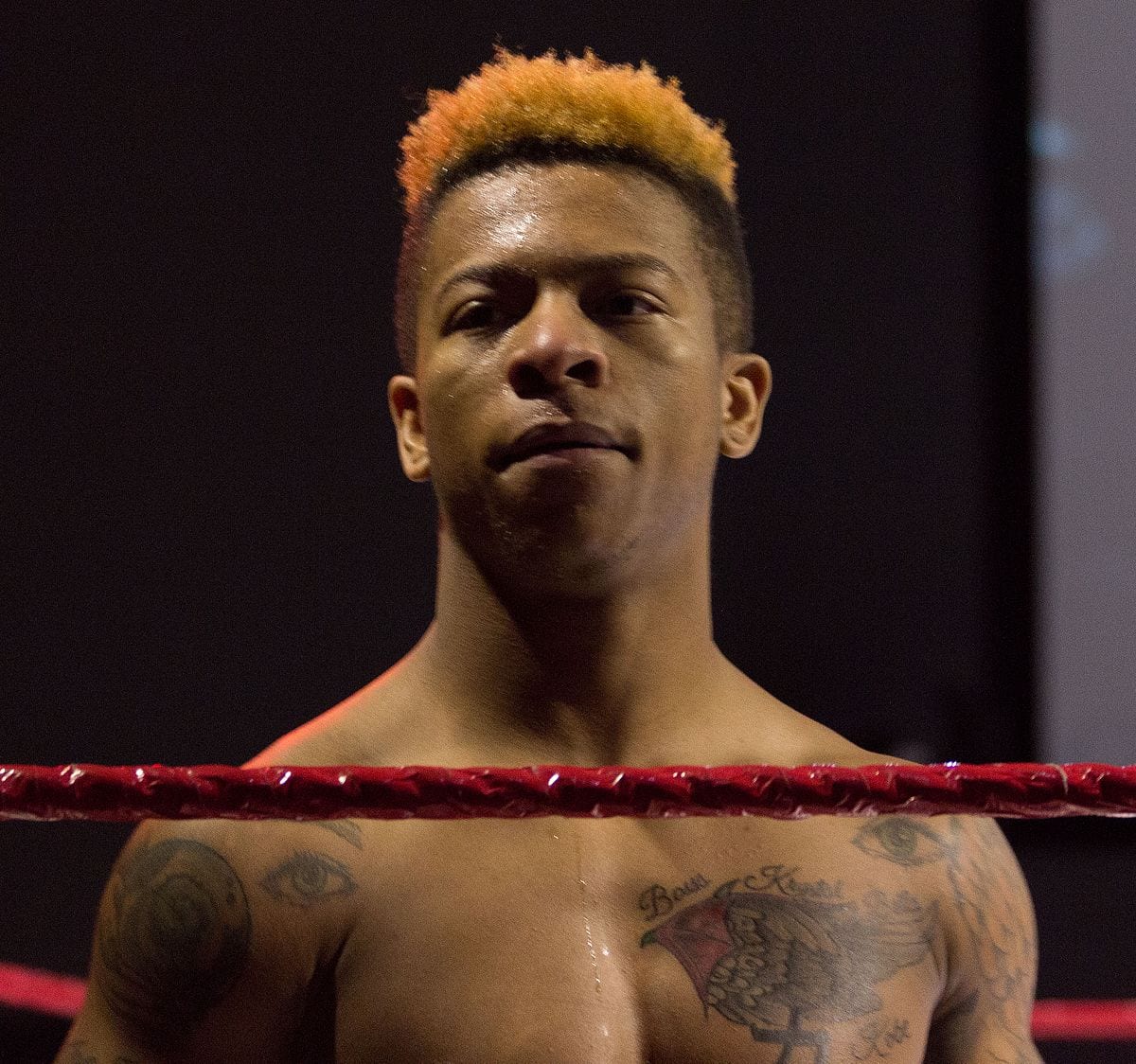 Another Week of Wrestling 6, AEW, WWE, wrestling, Leo Rush