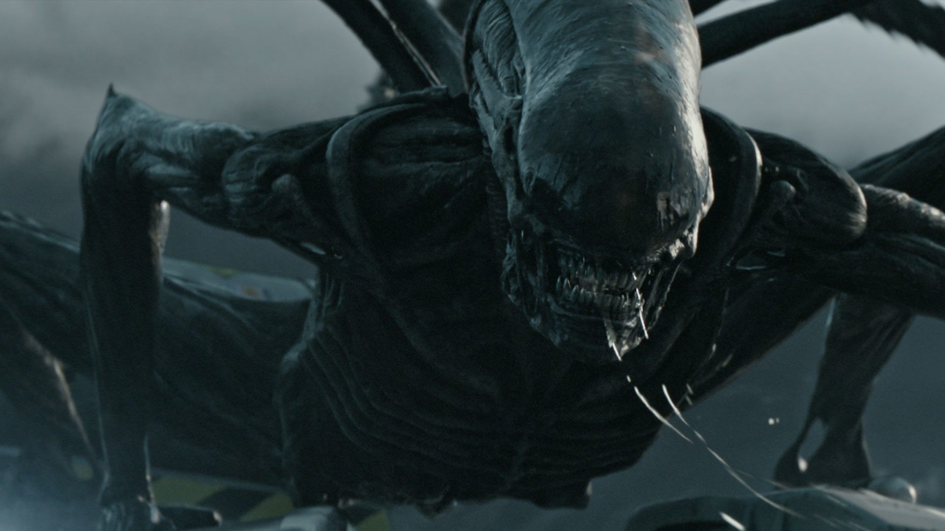 New Alien Movie From Fede Alvarez Ramps Up