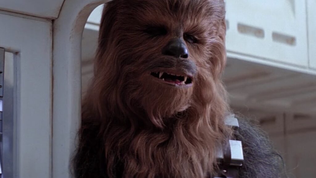 Mayhew Chewbacca