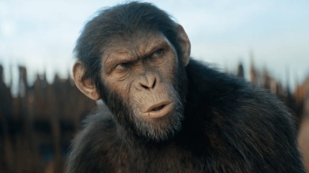 Kingdom of the Planet of the Apes box office