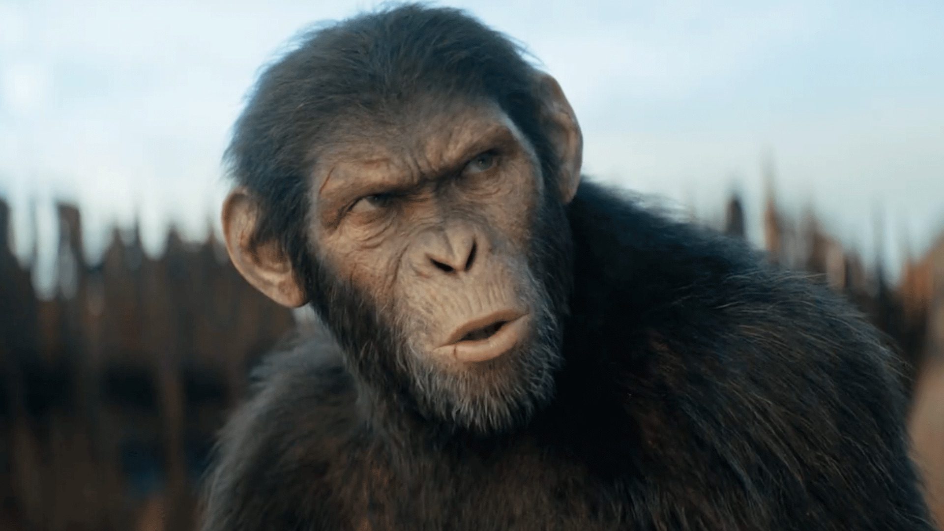 The Truth About The Kingdom of the Planet of the Apes Box Office