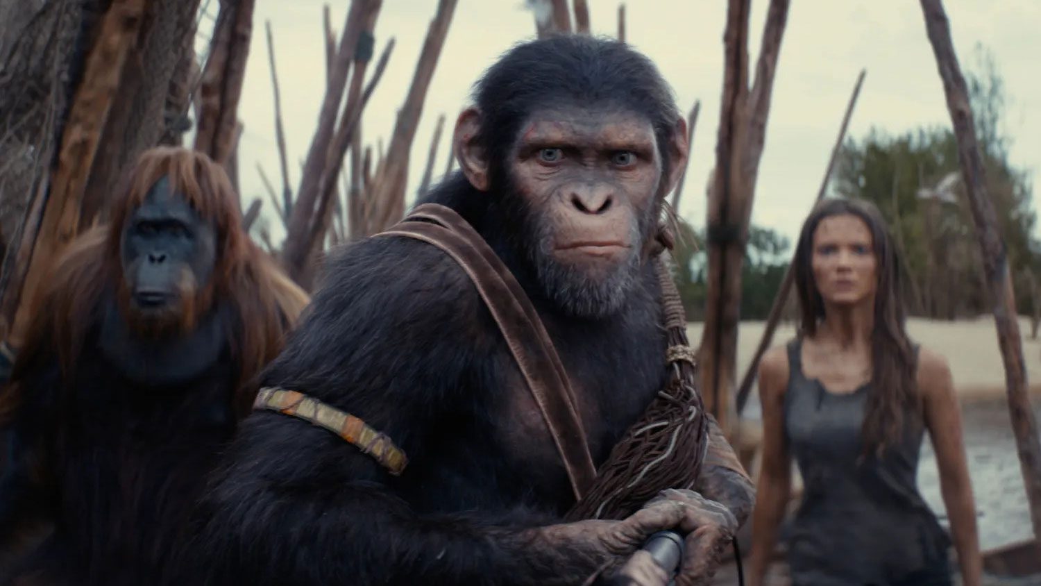 REVIEW: Kingdom of the Planet of the Apes (2024)